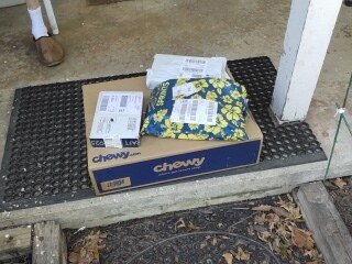 Customer review photo